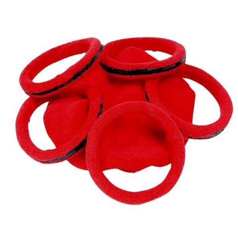 Ersatzringe (Set) 5 St. inkl. Ersatztuch für Scheibe