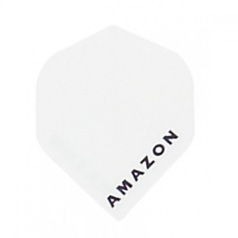 Amazon Flight 12-21