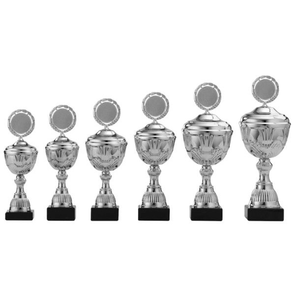 Pokal S497