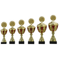 Pokal S500